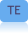 TE